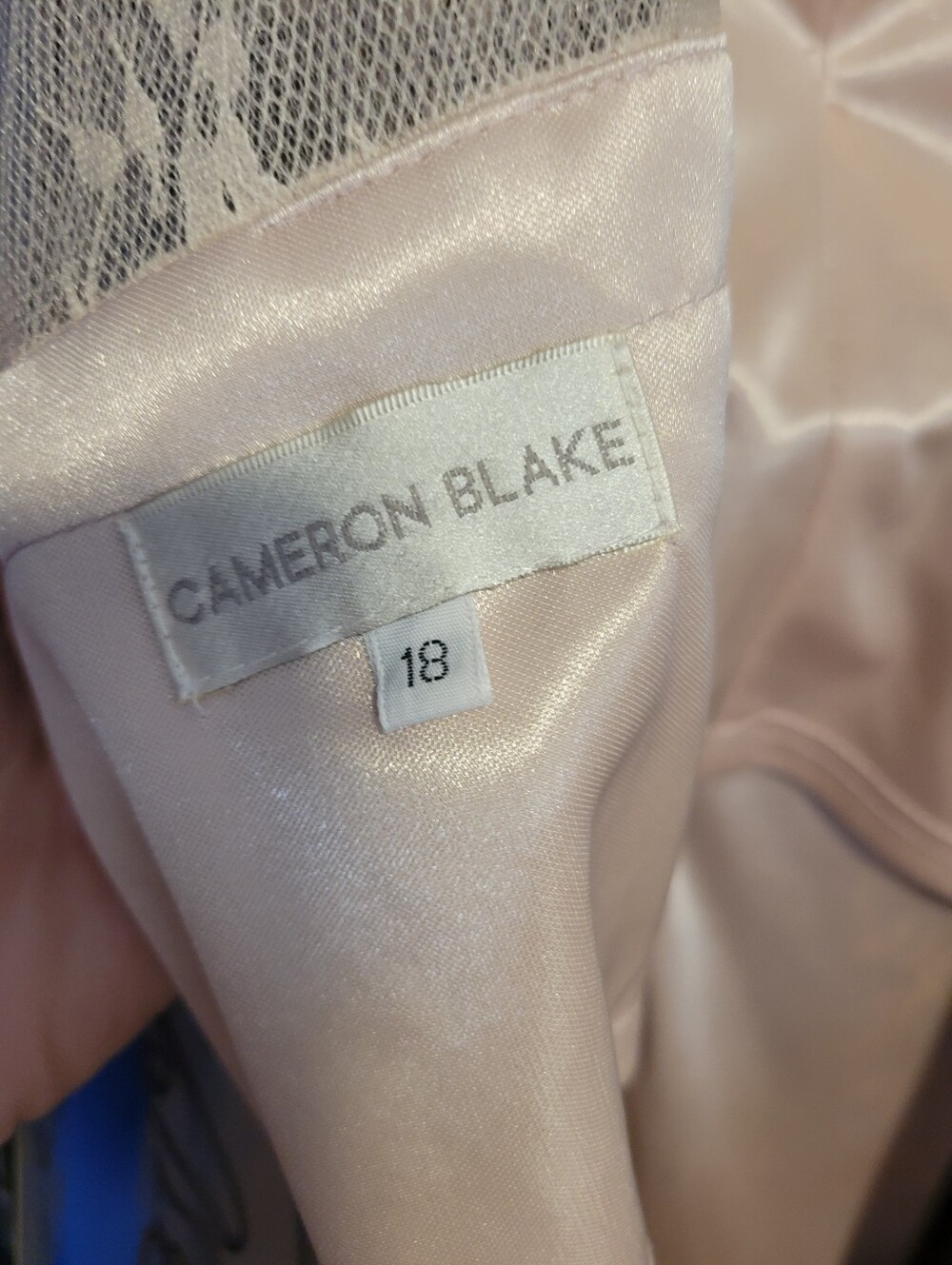 Cameron Blake Blush Maxi Dress with Silver Embroidery - Picture 6 of 9